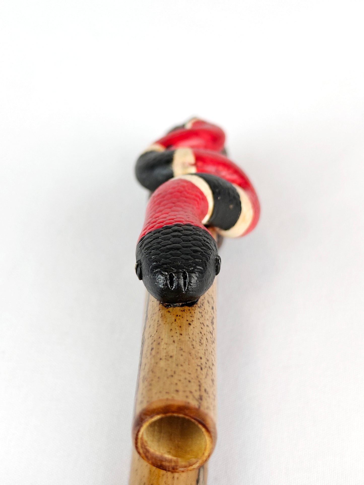 Kuripe Serpent Coral