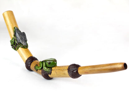 Tepi Kambo Frog