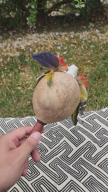 Maraca Tapirapé